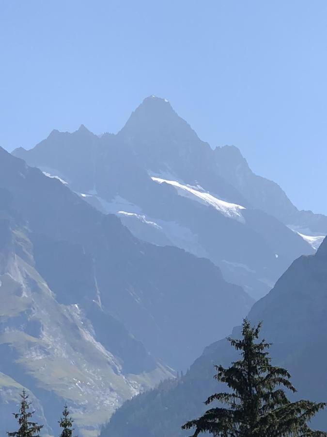 Romantisches Plaetzchen In Der Natur Apartment Grindelwald Exterior photo