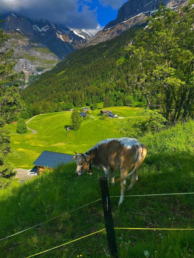 Romantisches Plaetzchen In Der Natur Apartment Grindelwald Exterior photo