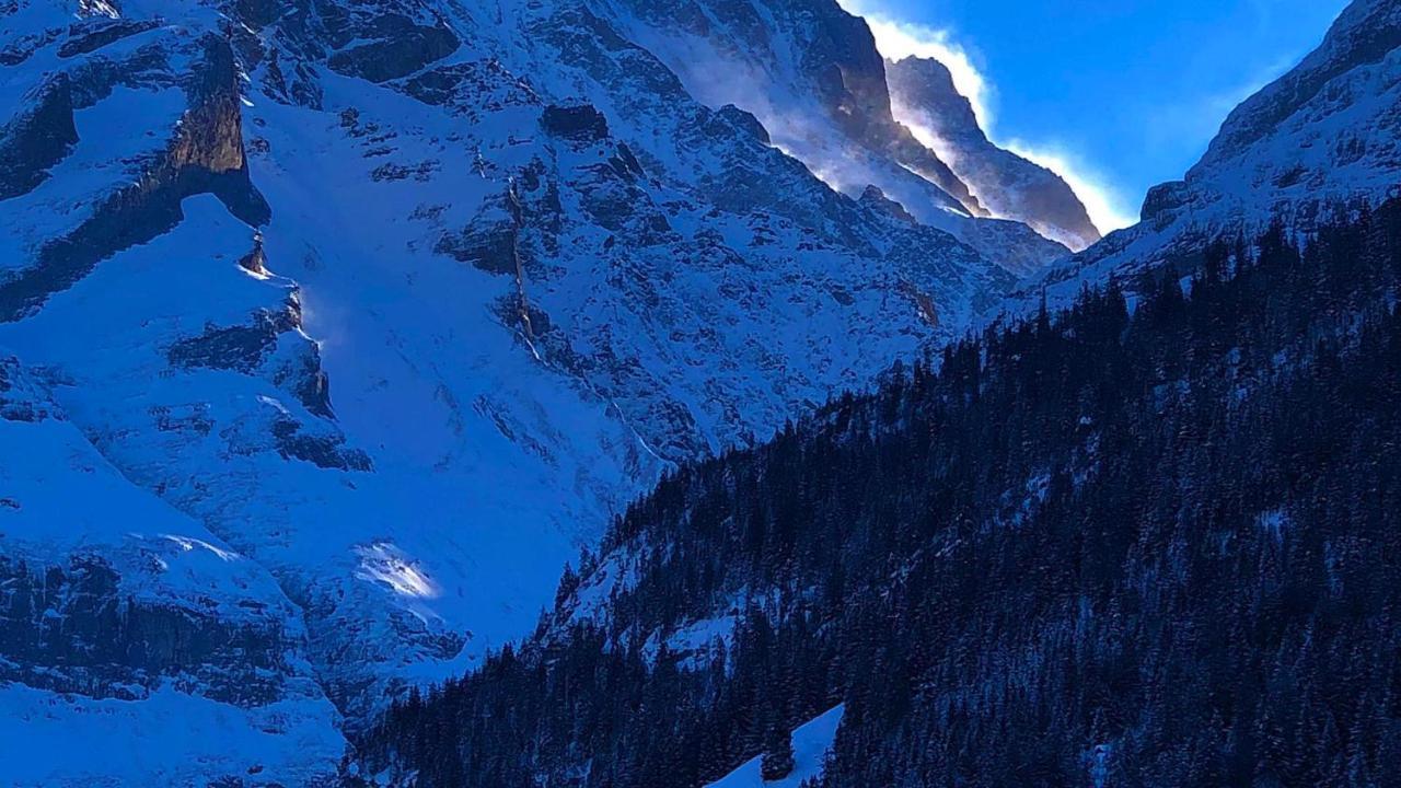 Romantisches Plaetzchen In Der Natur Apartment Grindelwald Exterior photo