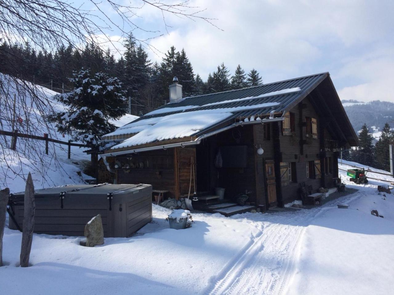 Romantisches Plaetzchen In Der Natur Apartment Grindelwald Exterior photo