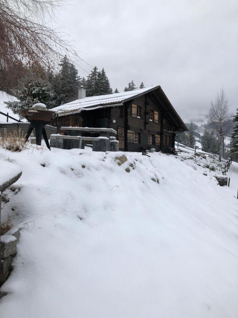 Romantisches Plaetzchen In Der Natur Apartment Grindelwald Exterior photo